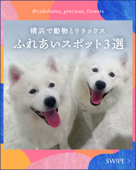 横浜のふれあいスポット3選
