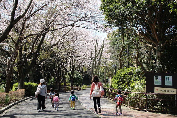金沢自然公園・金沢動物園のお花見　お散歩コース
