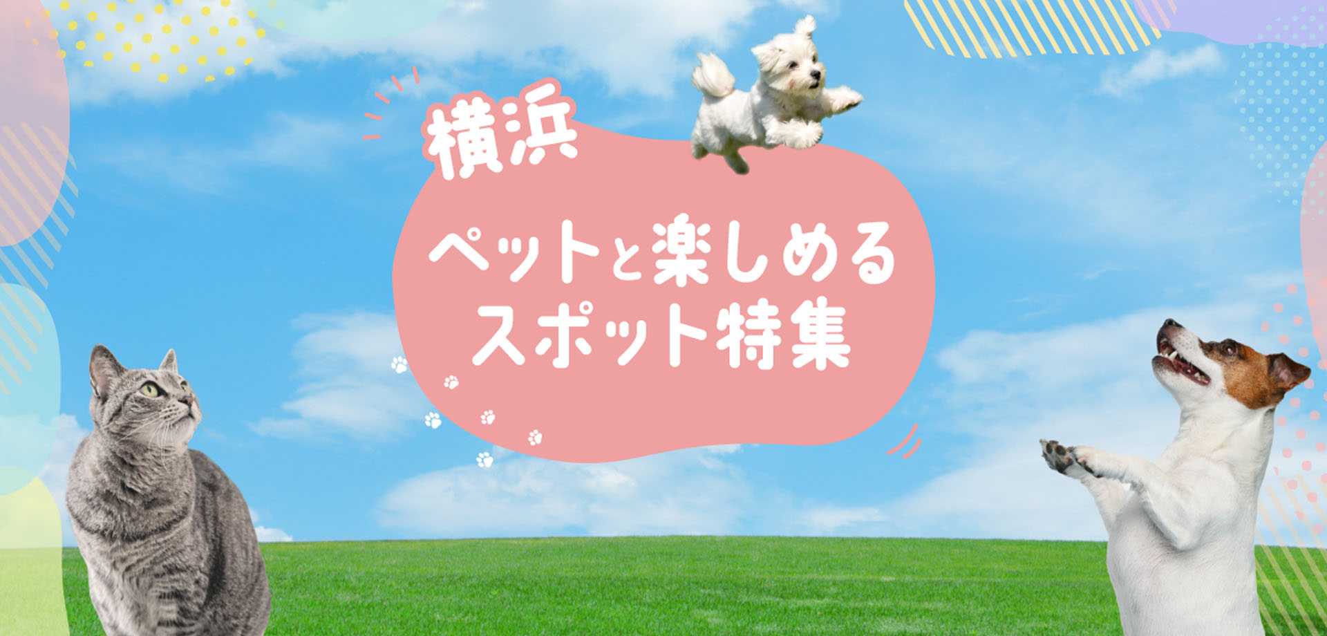 横浜 ペットと楽しめるスポット特集