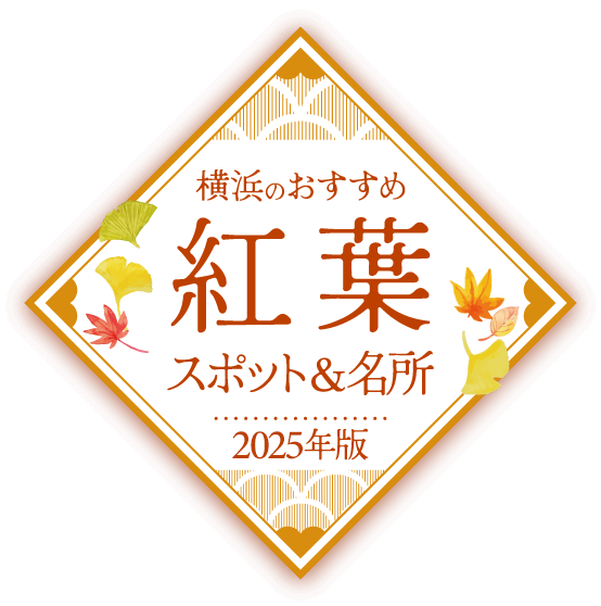 【2025年版】横浜のおすすめ紅葉スポット&名所