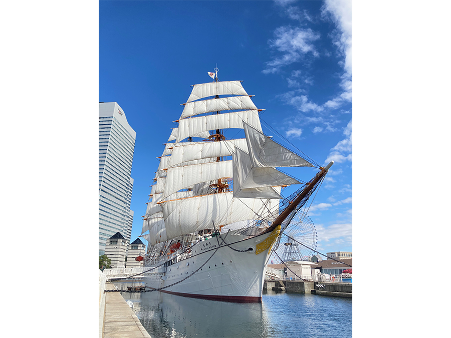 帆船日本丸　総帆展帆（そうはんてんぱん）