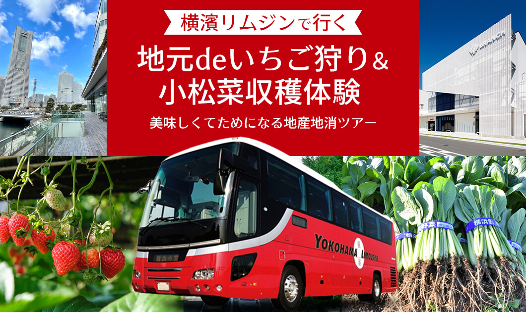 横濱リムジンで行く「地元deいちご狩り＆小松菜収穫体験」美味しくてためになる地産地消ツアー