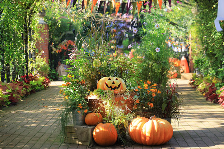 横浜イングリッシュガーデン「ハロウィン・ディスプレイ」