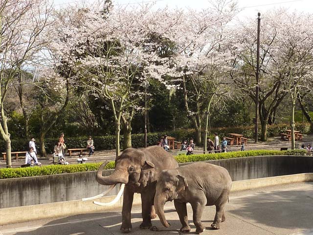 金沢自然公園・金沢動物園1