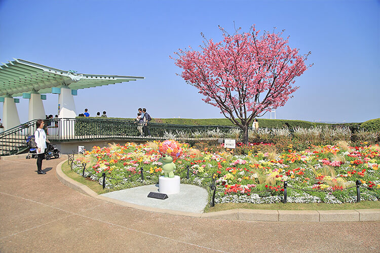港も見える丘公園のガーデンベア花壇と桜