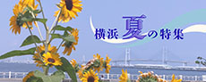 エンジョイ!横浜の夏特集