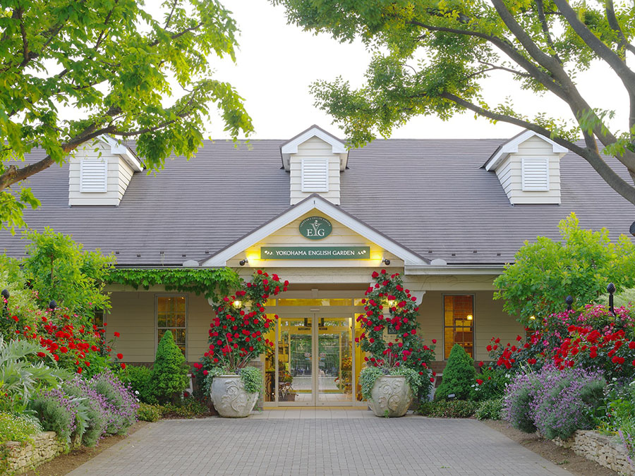 横浜イングリッシュガーデン バラ