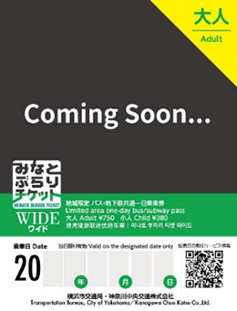 『東方神起×横浜 RED OCEANキャンペーン』の特別デザインの券面