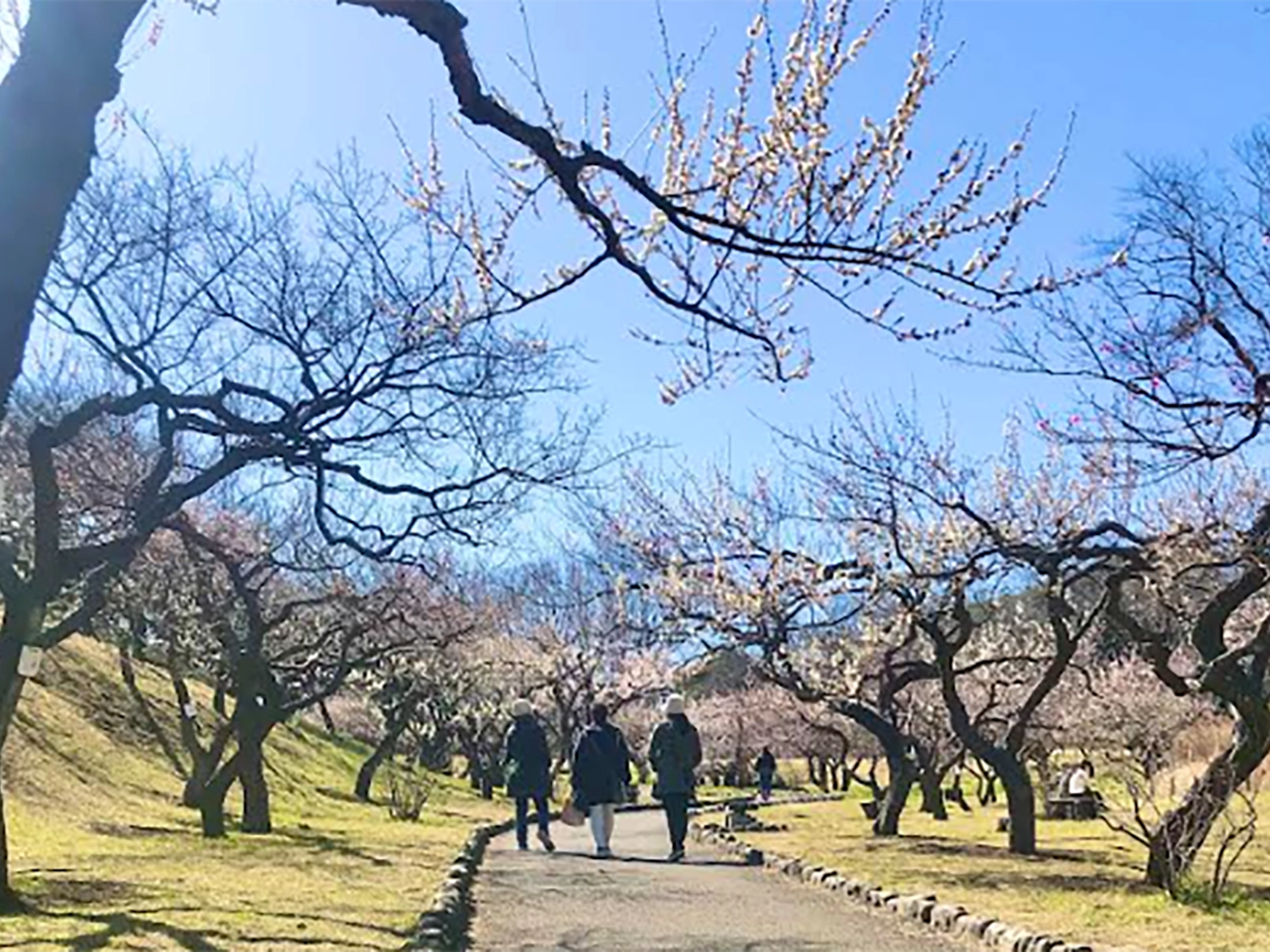 根岸森林公園