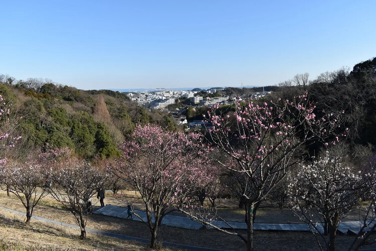 金沢動物園・金沢自然公園