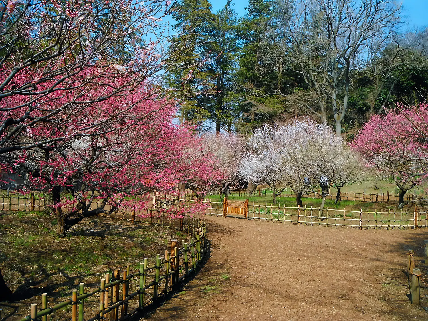 横浜市児童遊園地