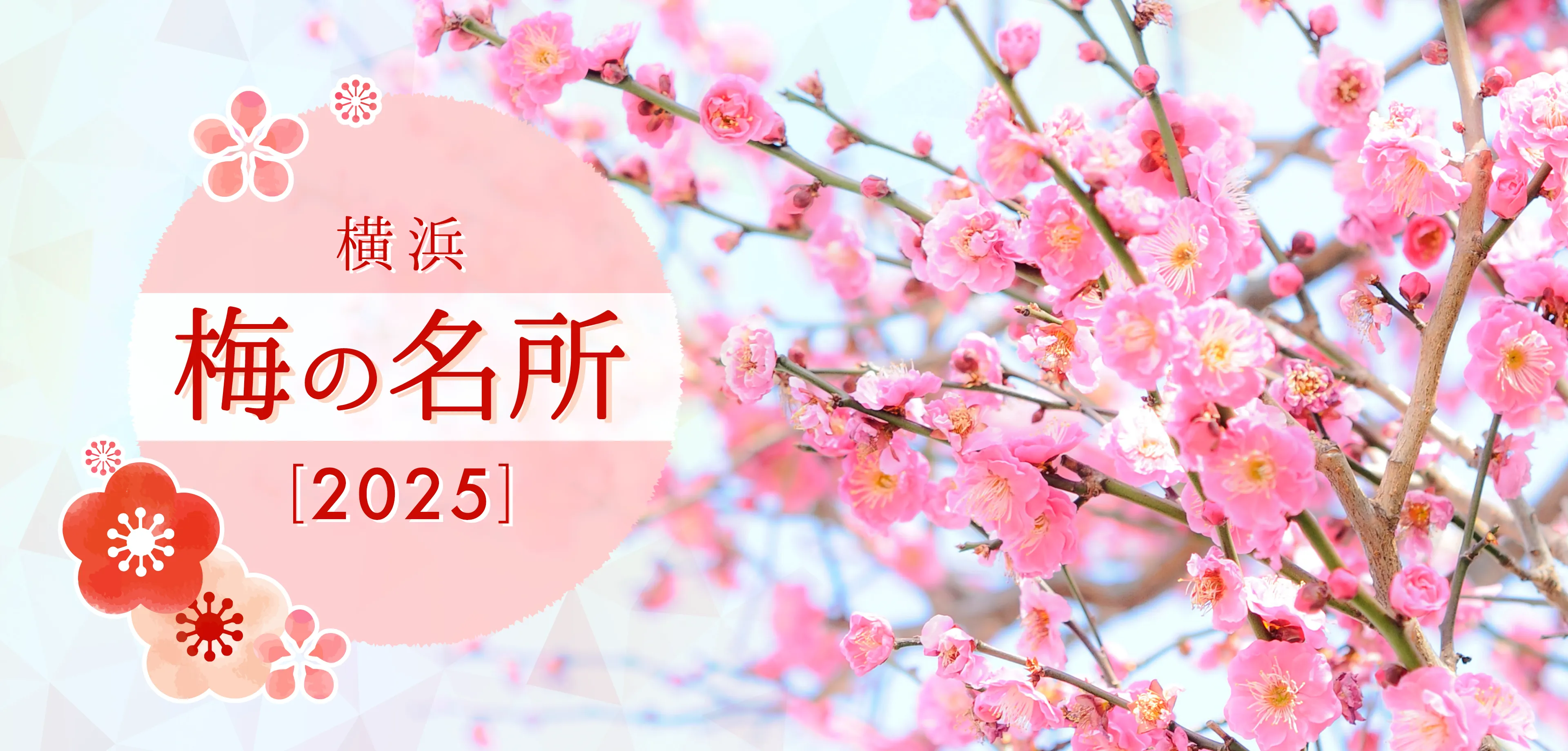 横浜 梅の名所2025