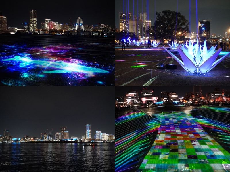 【2025年最新】横浜「ヨルノヨ」のクジラがすごい！大規模イルミネーションと光の演出を体験レポート