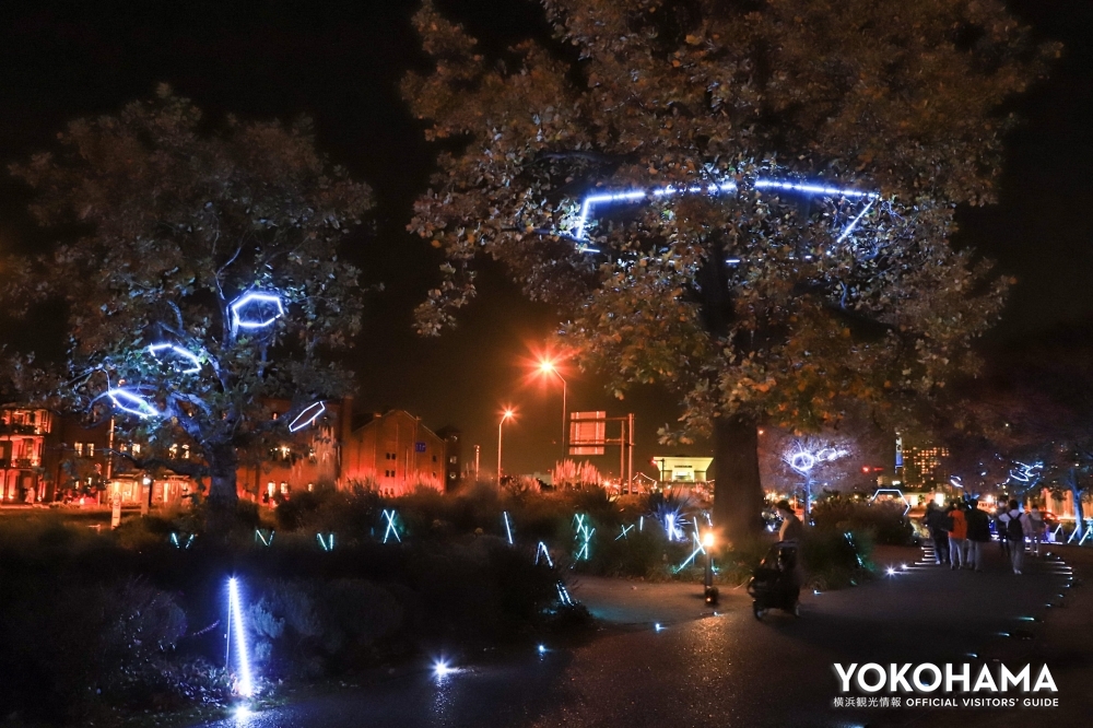 誓いの木(VOW TREE)