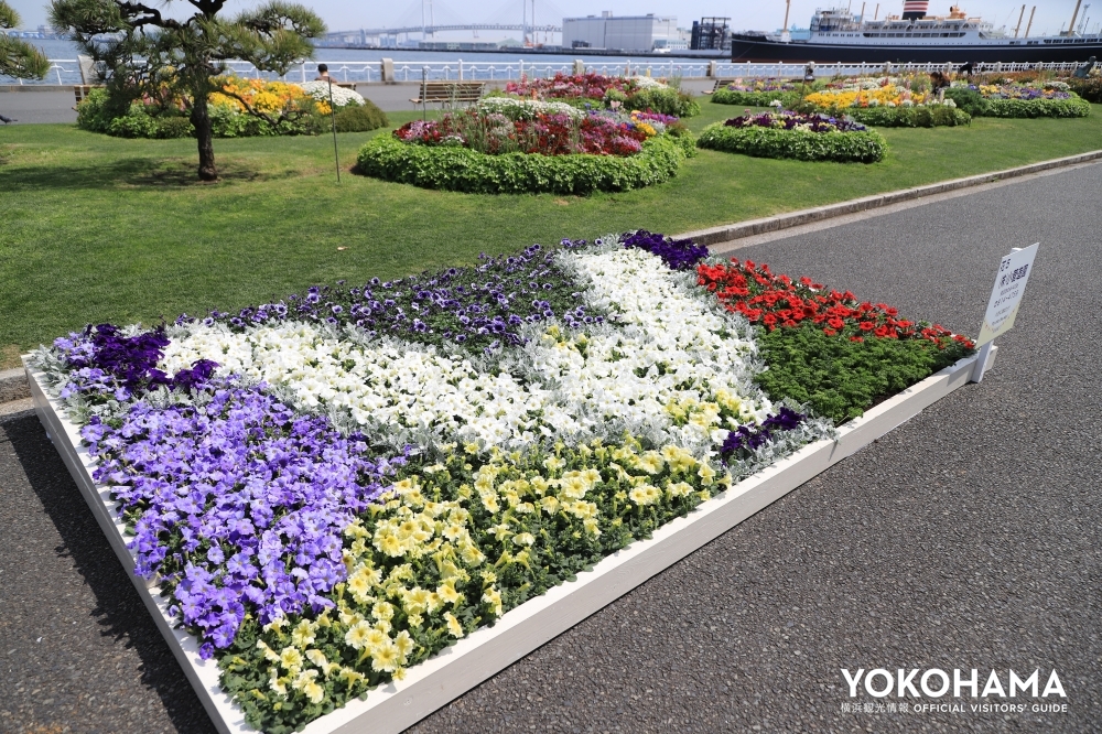 山下公園に鮮やかなの花壇が並ぶ 第43回 よこはま花と緑のスプリングフェア21 の楽しみポイント 公式 横浜市観光情報サイト Yokohama Official Visitors Guide