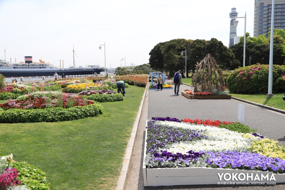 山下公園に鮮やかなの花壇が並ぶ 第43回 よこはま花と緑のスプリングフェア21 の楽しみポイント 公式 横浜市観光情報サイト Yokohama Official Visitors Guide