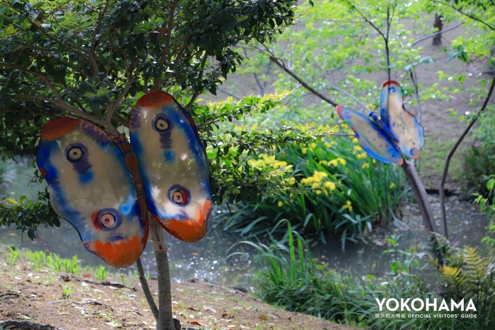 Joze Strazar Kiyohara「Summer butterfly, Ⅰ-Ⅳ（夏の蝶1-4）」