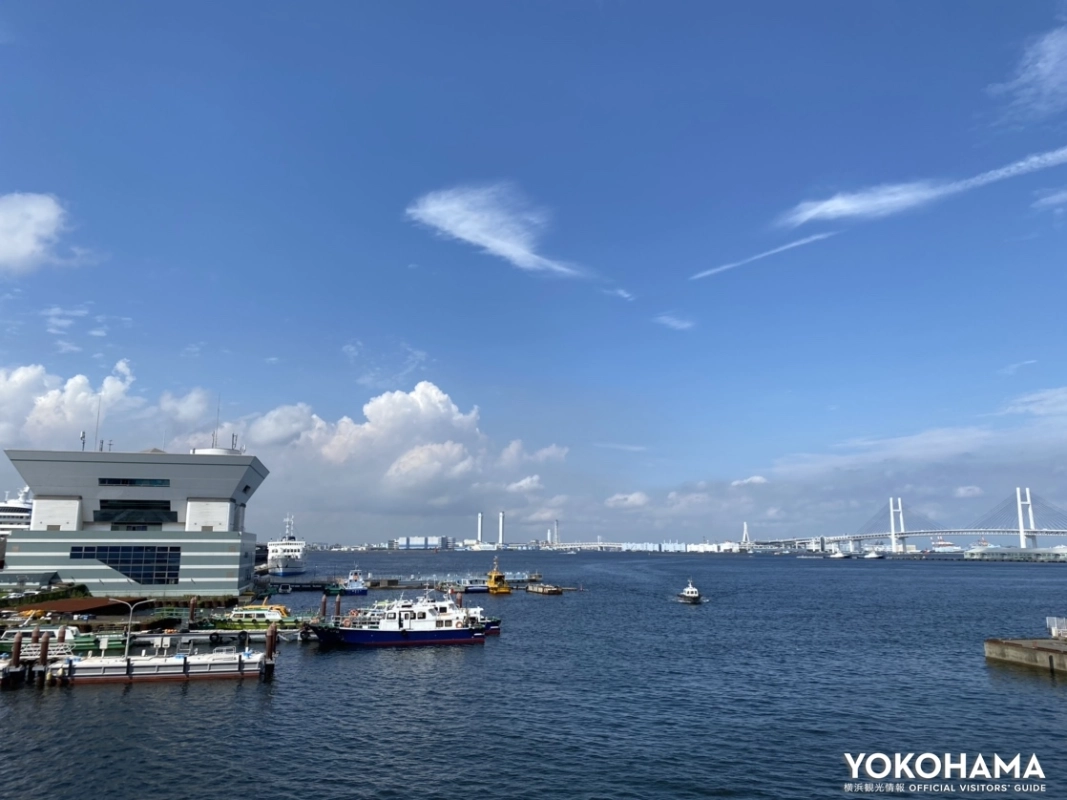 山下公園側を振り返ると横浜ベイブリッジや横浜港が一望できます。海風が気持ちいいですね～?