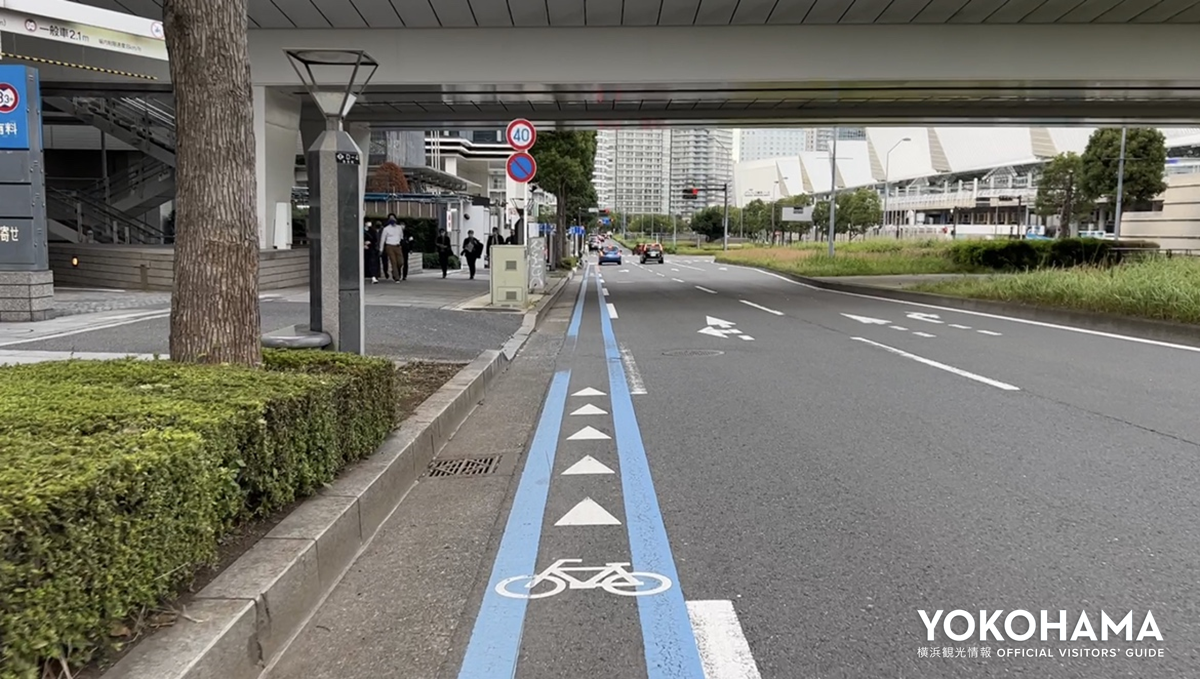 クイーンズスクエア横浜とパシフィコ横浜の間、国際大通りの自転車専用通行帯