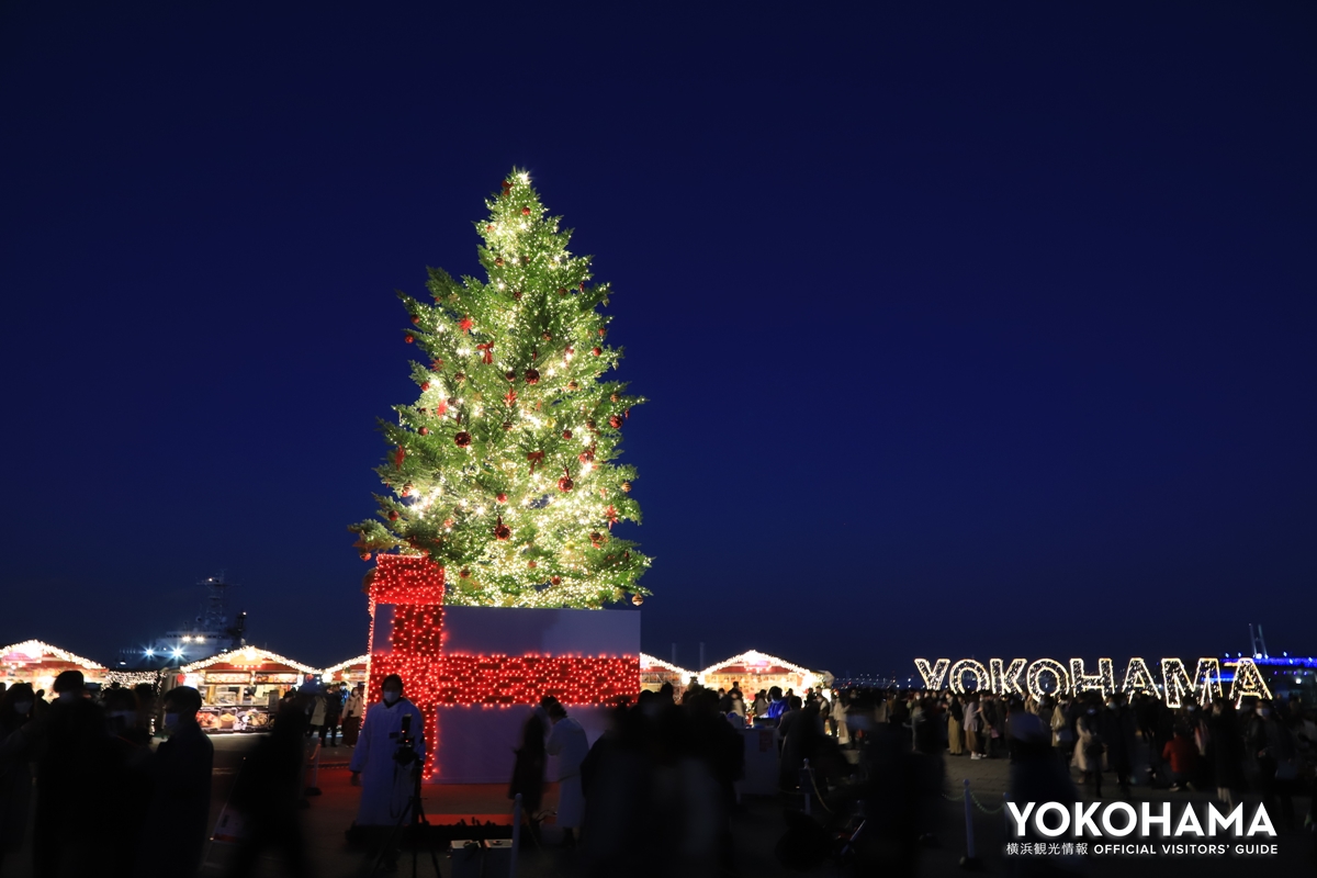 クリスマスツリーと「YOKOHAMA」の文字が浮かび上がるライトアップ