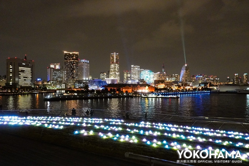 メインビューポイントの「横浜港大さん橋国際客船ターミナル」屋上からみるみなとみらいの景色
