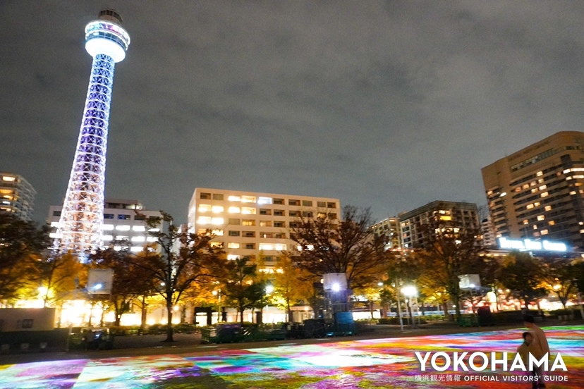 横浜マリンタワーと一緒に楽しめます！