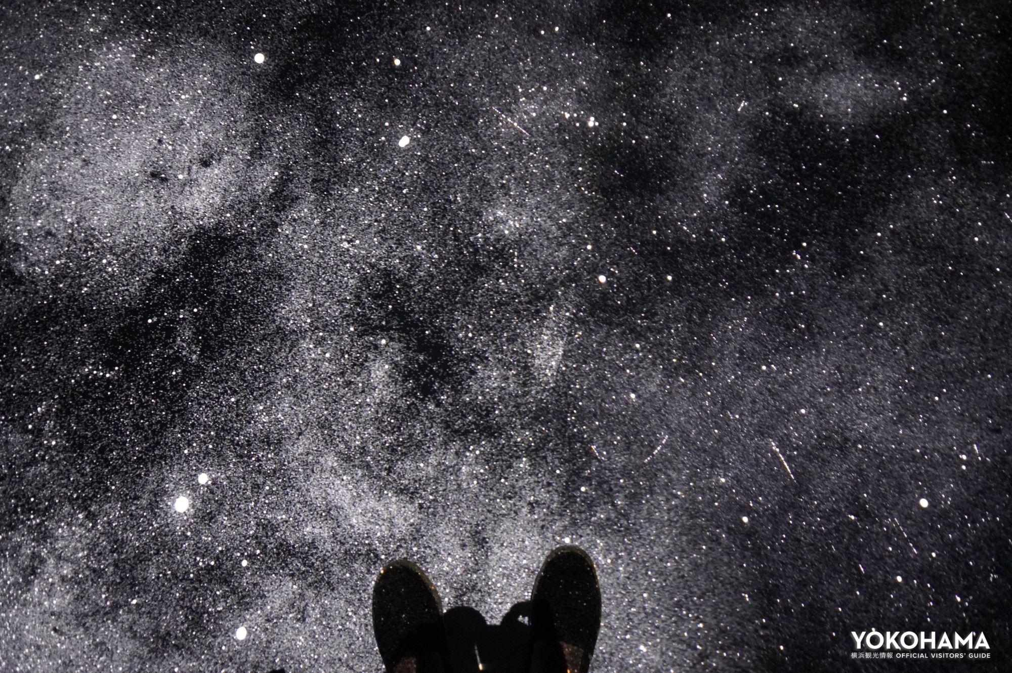 肉眼では見えない超高精細な星空が再現されているのは圧巻です！