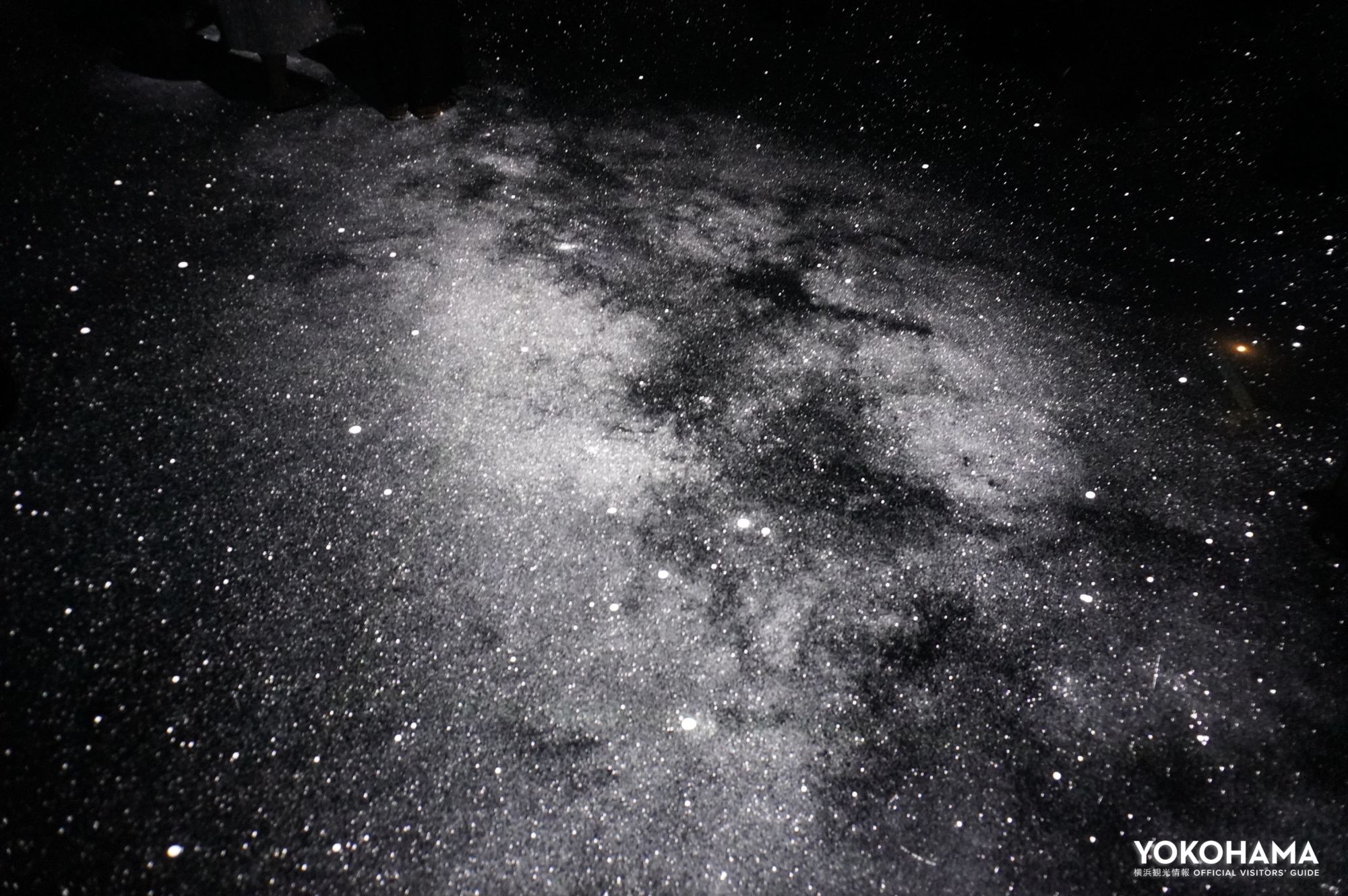 まさに「星とたたずむ」空間です！