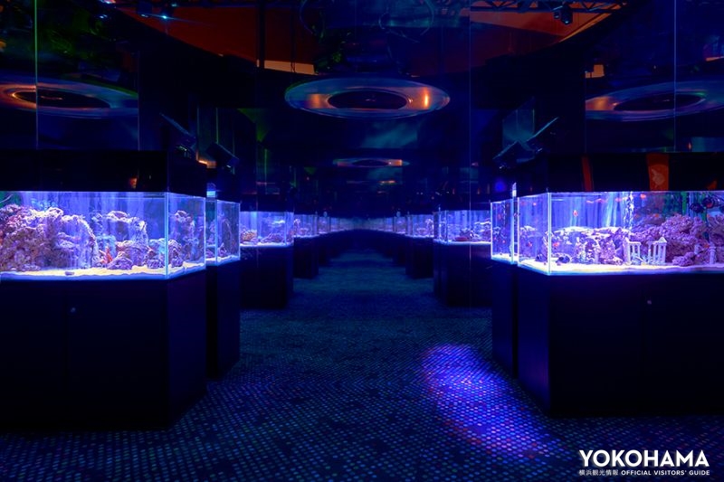 オービィ横浜「インフィニットアクアリウム」