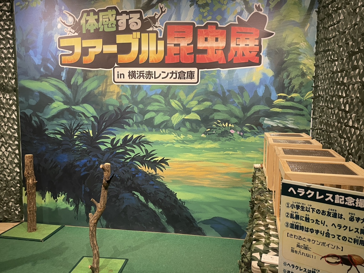 体感するファーブル昆虫展(昨年開催時の様子です)