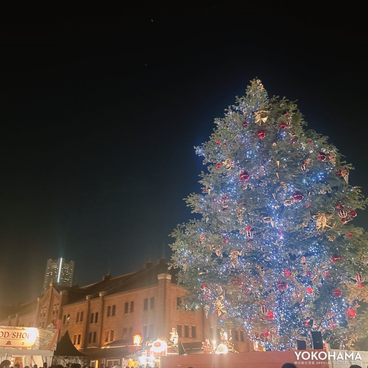 横浜のシンボルをバックにクリスマスツリーを撮影