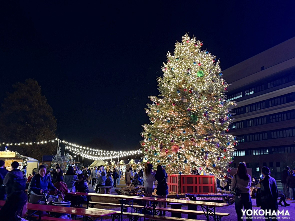 入場無料で楽しめるエリアです