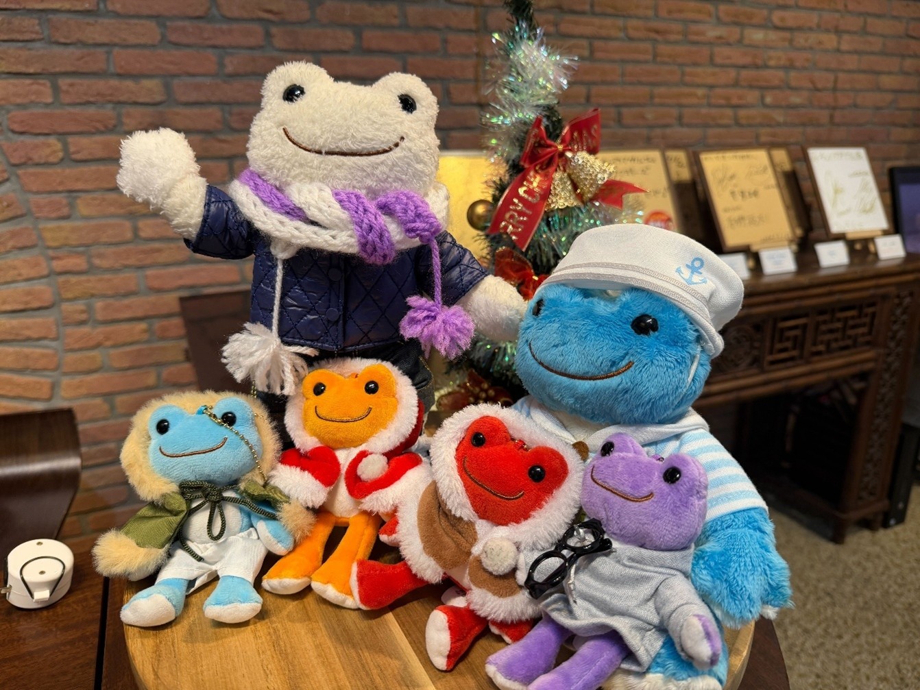 フォーチュンアクアリウムのピクルス、カイくんが出張中とのことで、代理のゆきまろさんが勤務中♪