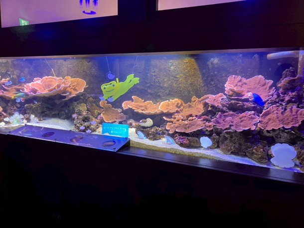 ピクルスが気持ちよく泳いでいます