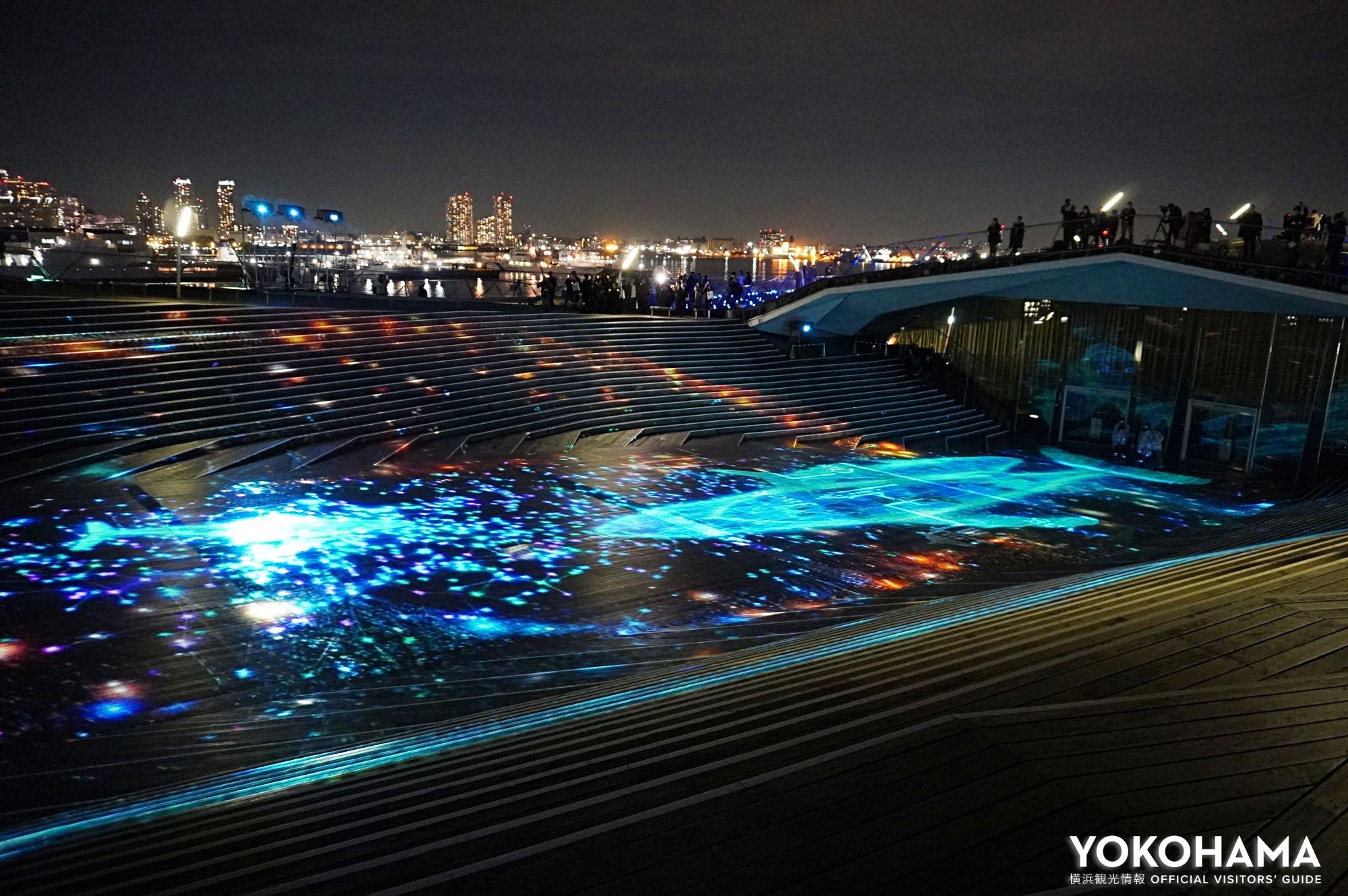 2匹のクジラに出会えます