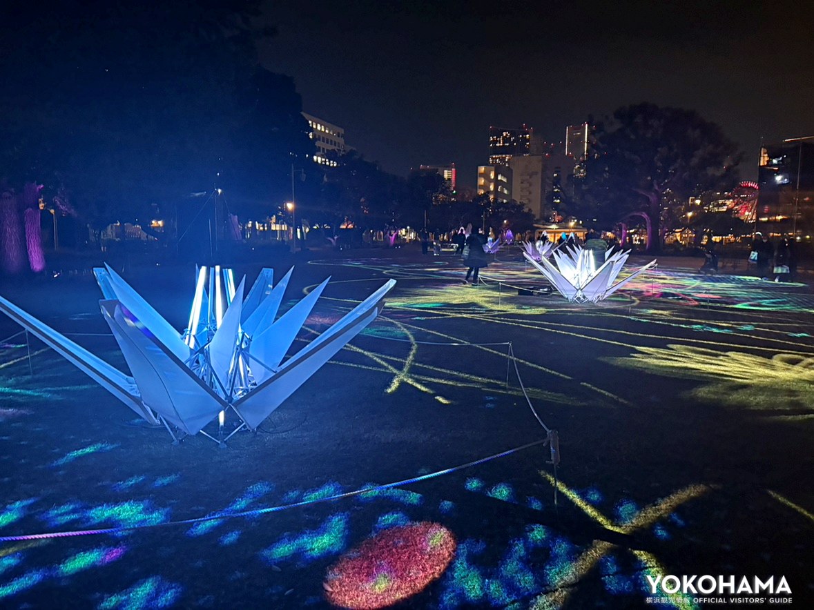 会場中央のスターフラワー