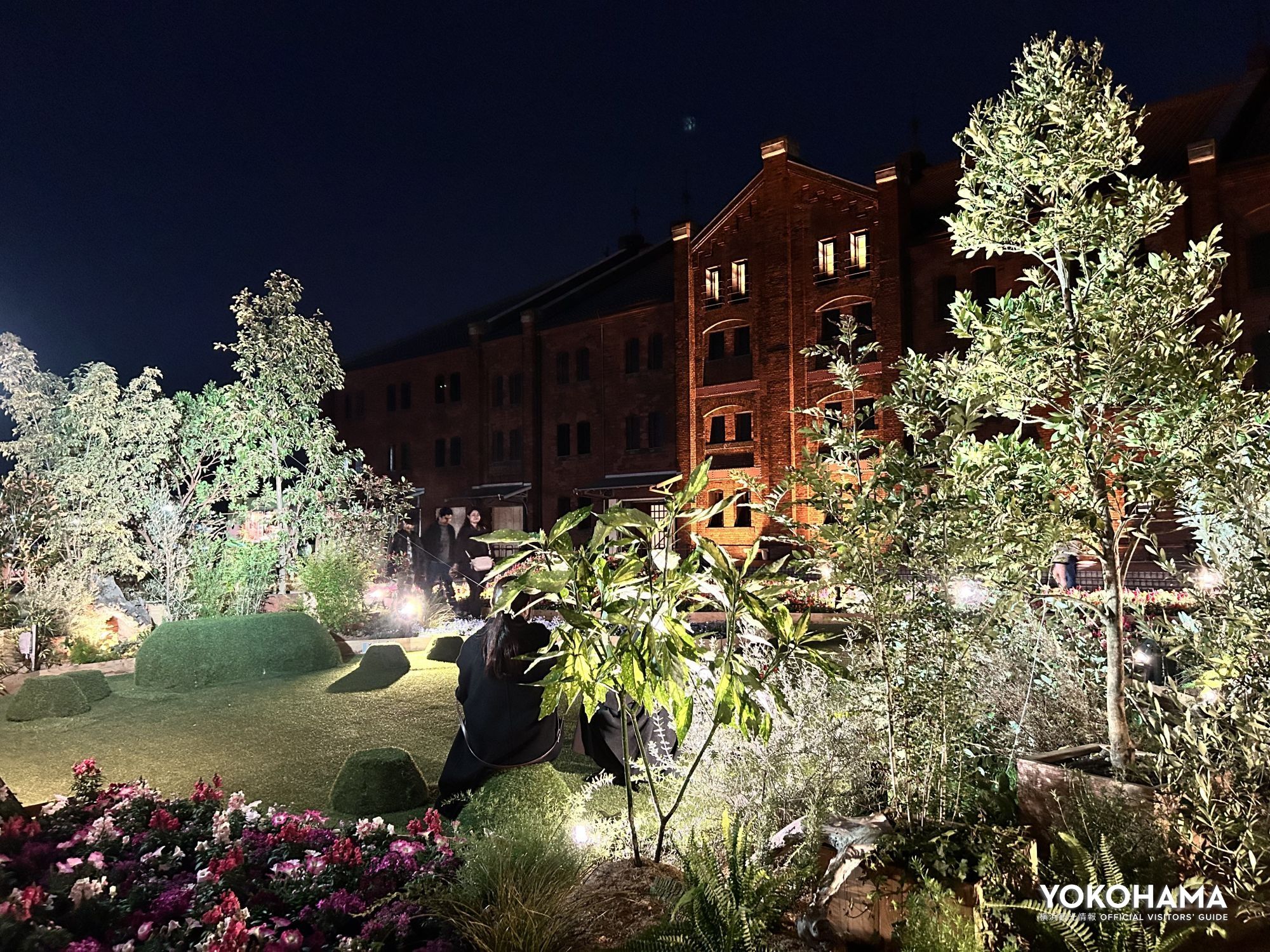 夜になると、花畑や横浜赤レンガ倉庫がライトアップされ、幻想的な光景が広がります