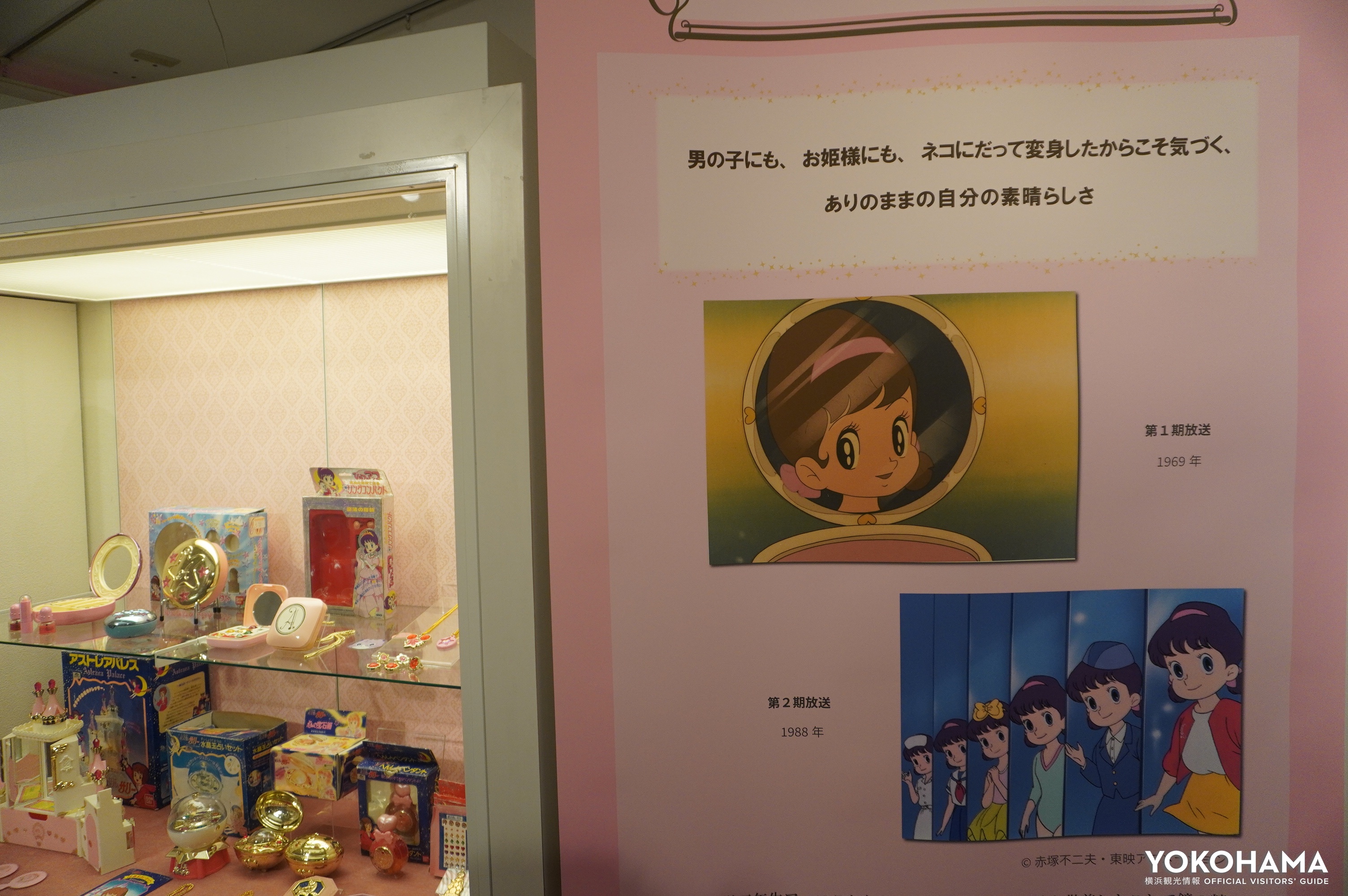 作品のメッセージをわかりやすく解説されています