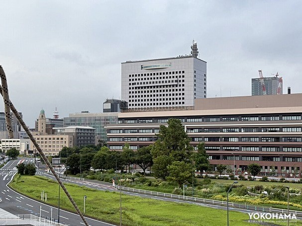 横浜税関、合同庁舎側