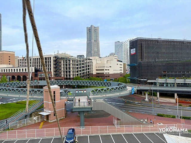 サークルウォークも上から眺めるのは新鮮でした