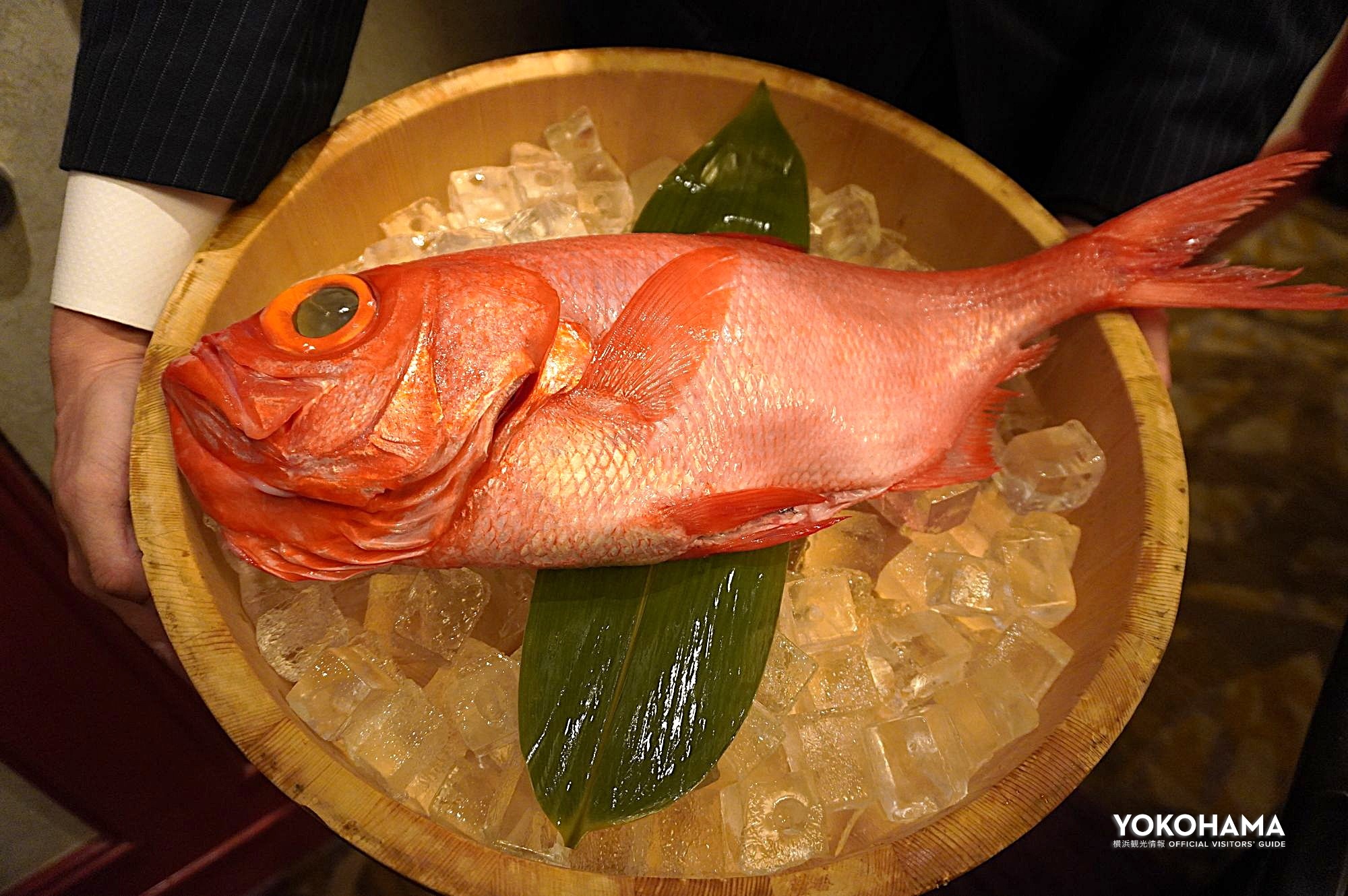 この日の旬魚は、三崎漁港にあがった立派な金目鯛!