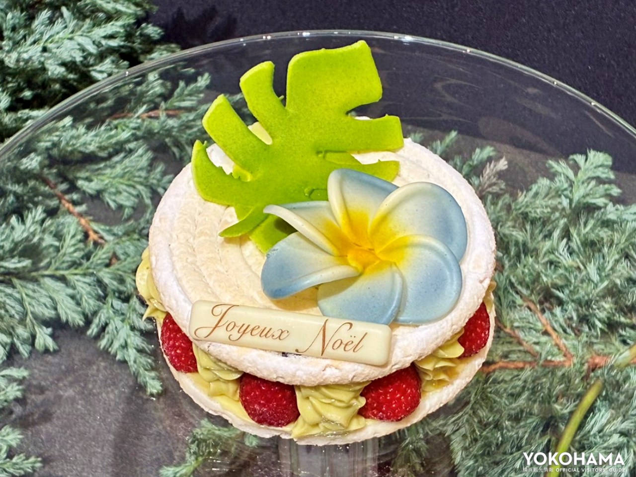 プルメリアやモンステラなど華やかなモチーフ