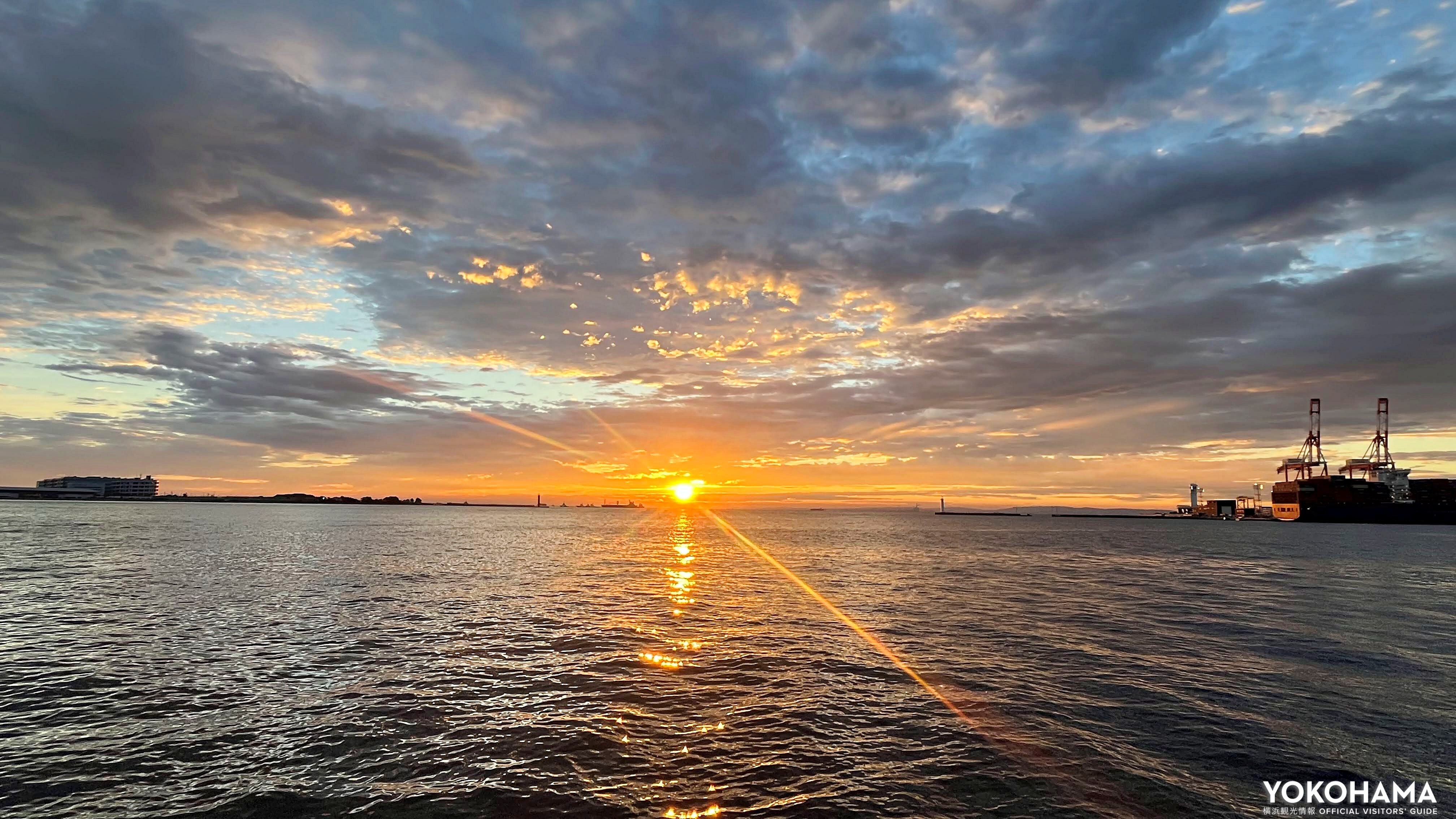 朝日の光が力強く差し込みます