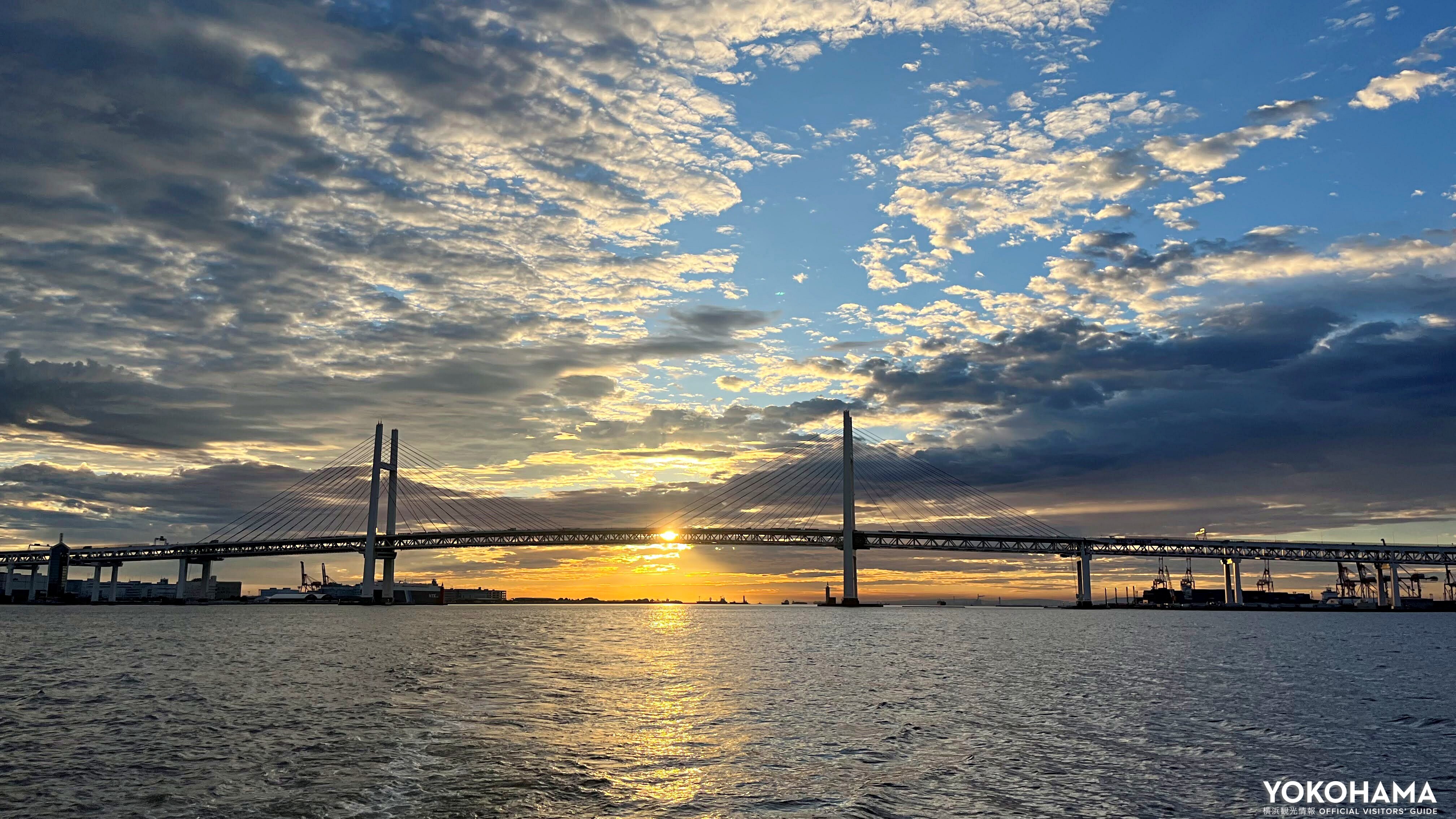 何枚もシャッターを切りたくなる美しさです