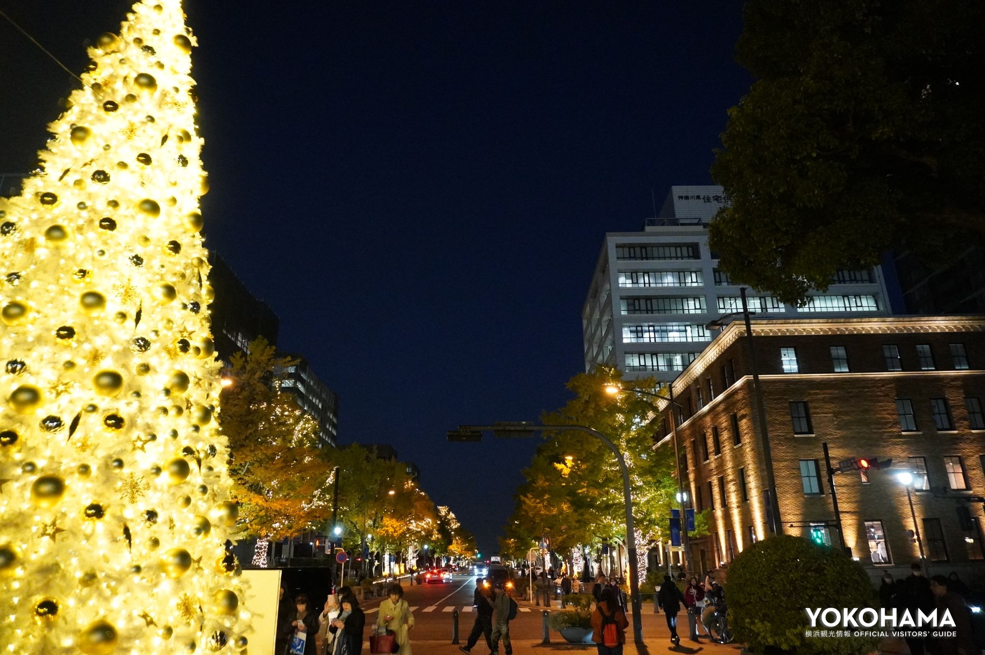 8mのホワイトクリスマスツリーは16時から点灯します