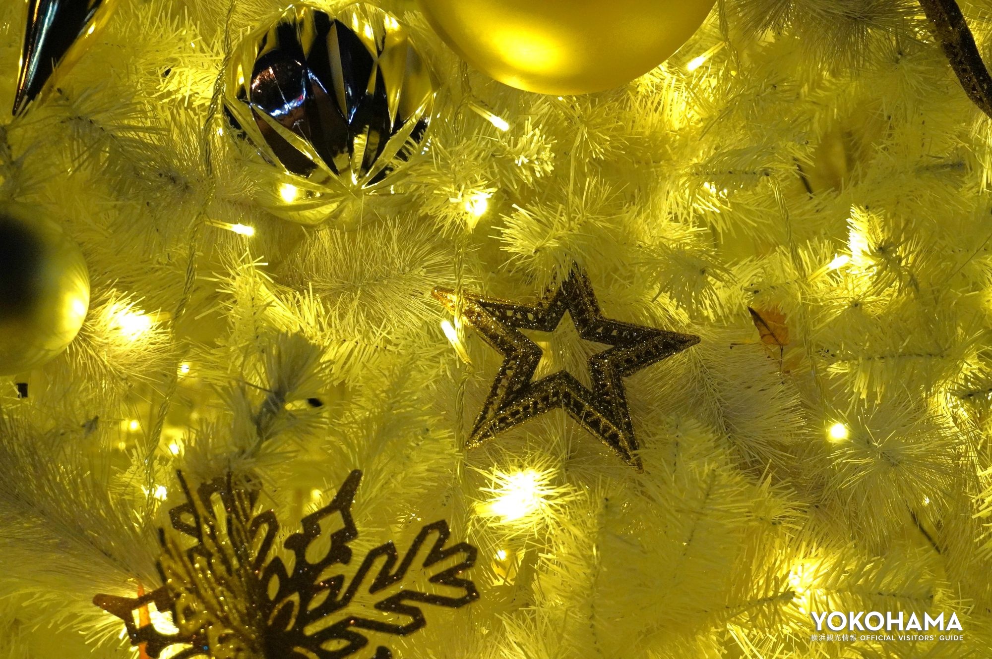 横浜DeNAベイスターズの本拠地、横浜公園らしさを感じる星型のオーナメントも