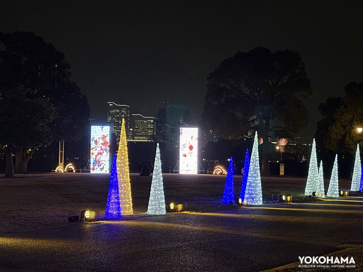 イルミネーションも登場