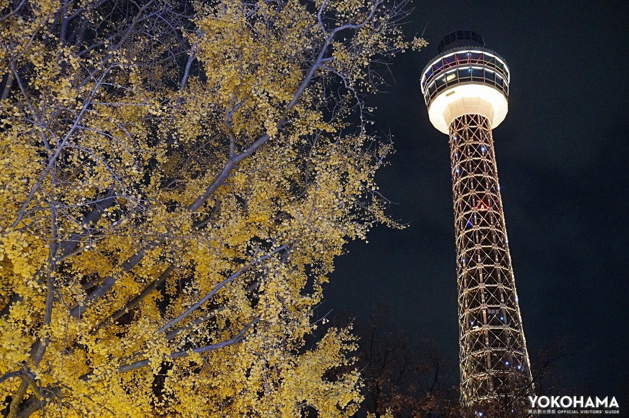 キラキラと光る横浜マリンタワー