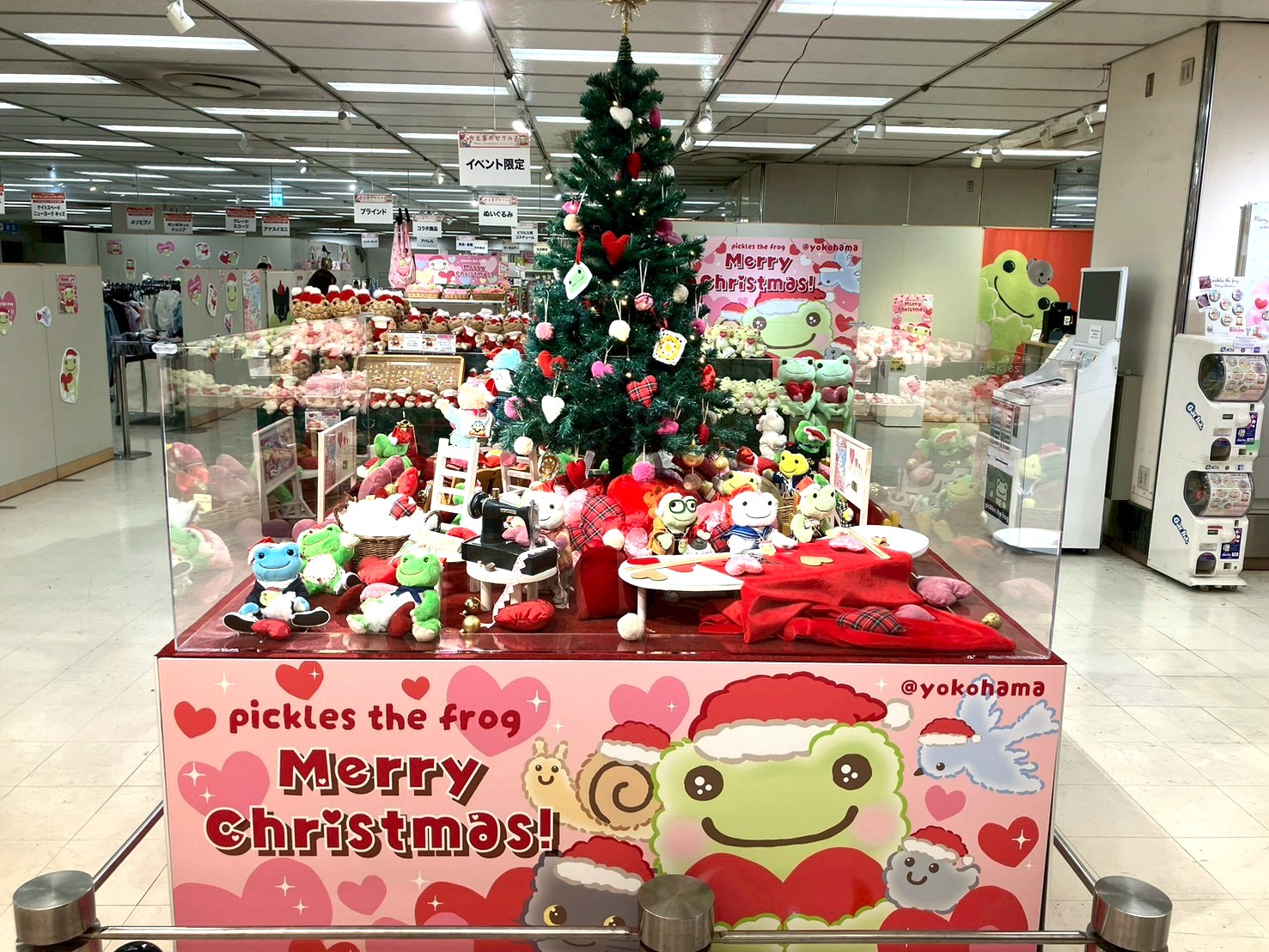 レイアウトが変わることもあるようです！行ってみてのお楽しみ♪