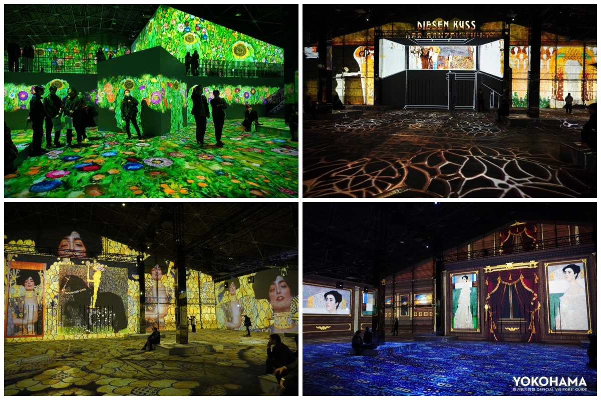 写真には納められない音楽の臨場感は、ぜひ実際に足を運んで体験を！